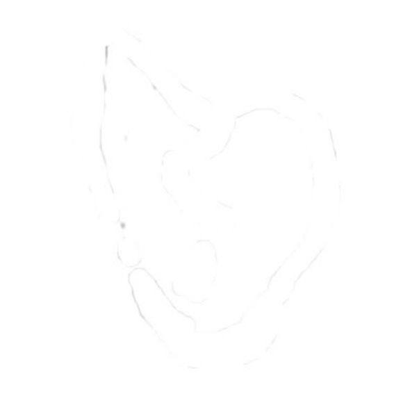 lhisthing